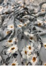 Шелковый шифон акварельные цветы